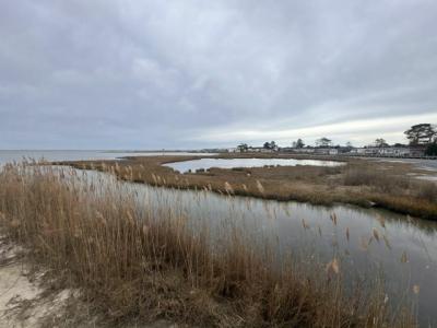 Photo 3 of 8 of home located at 35587 Bayview Dr Millsboro, DE 19966