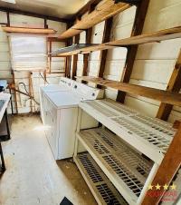 1985 PALM   Home