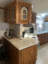 1992 Skyline West Ridge Manufactured Home