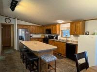 1997 SKYLINE Mobile Home