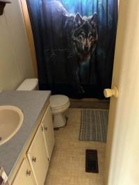 Mobile Home