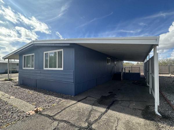 1980 Skyline Mobile Home