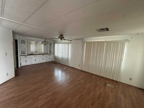 1980 Skyline Mobile Home