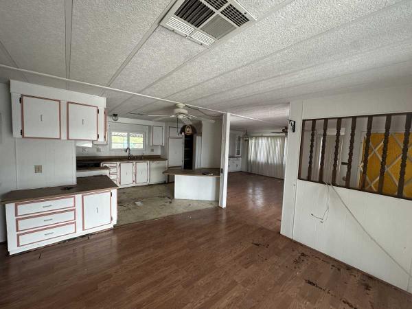 1980 Skyline Mobile Home