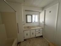 1980 Skyline Mobile Home