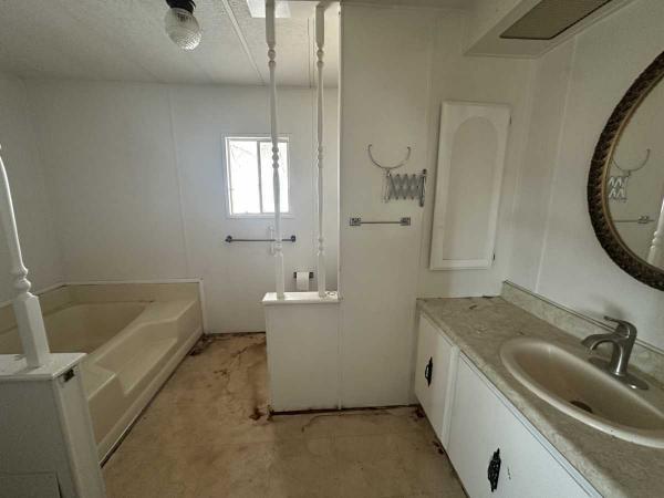 1980 Skyline Mobile Home