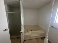 1980 Skyline Mobile Home