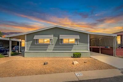 Mobile Home at 4675 S Harrison Road #226 Tucson, AZ 85730