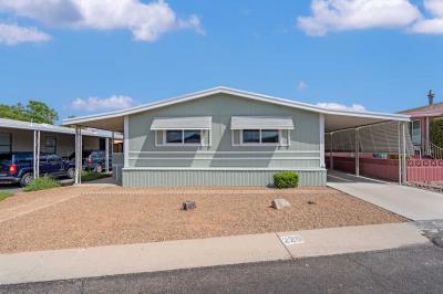 Photo 5 of 27 of home located at 4675 S Harrison Road #226 Tucson, AZ 85730