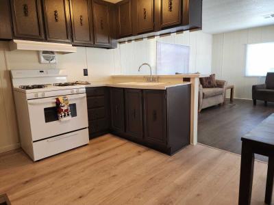 Photo 4 of 14 of home located at 1150 N. Delaware Drive, Lot 41 Apache Junction, AZ 85120