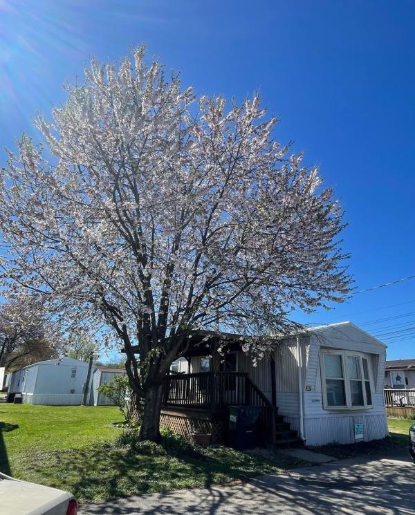 1987 Clayton Homes EAS Mobile Home