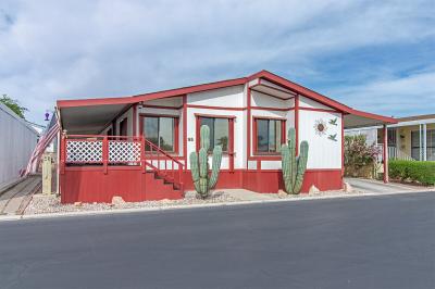 Mobile Home at 8122 W. Flamingo Rd. Las Vegas, NV 89147