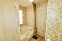 1975 Baron  Mobile Home