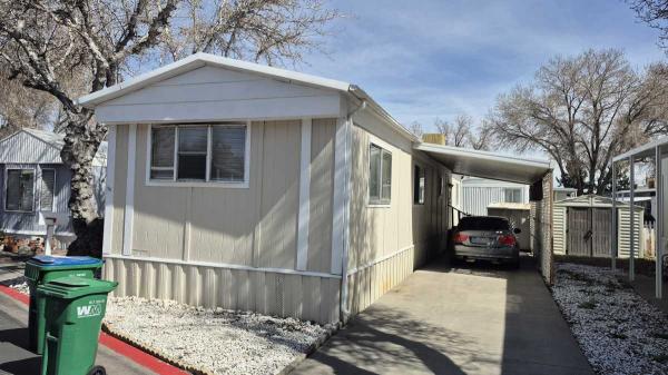 1984 Skyline Mobile Home