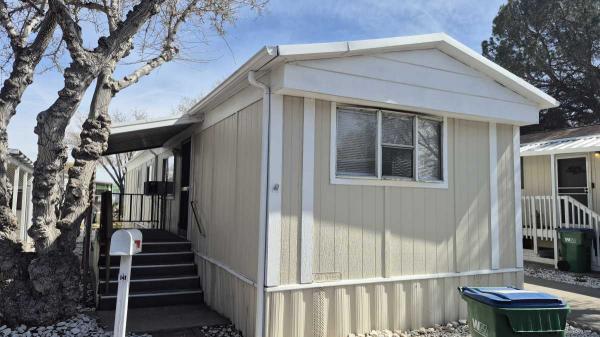 1984 Skyline Mobile Home