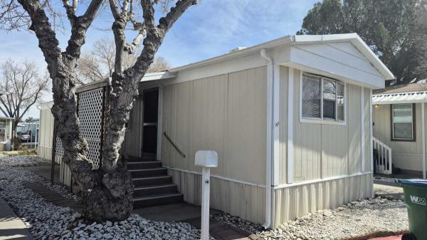 1984 Skyline Mobile Home