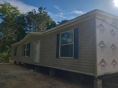 Mobile Home at 114 Willie Hooker Ln Silver Creek, MS 39663