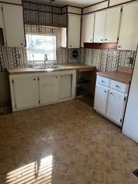 1978 LIBE  Home