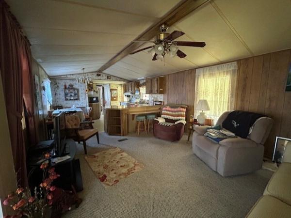 1984 SCHU  Home