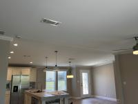 2023 Palm Harbor Ventura VI  Home