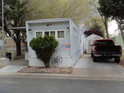 Mobile Home at 223 B Street Carson City, NV 89706