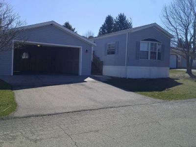 Mobile Home at 203 Martin Drive Theresa, WI 53091