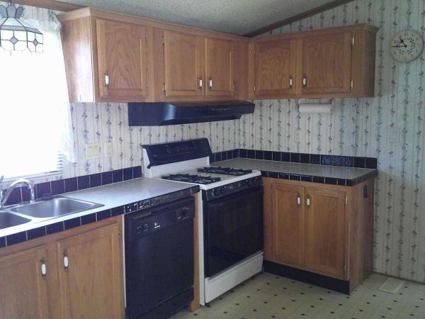 1995 Skyline Spruce Ridge Supreme Manufactured Home