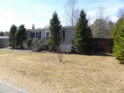 Photo 4 of 30 of home located at 1107 North Creek Rd Porter Corners, NY 12859