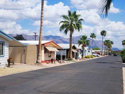 Photo 2 of 9 of home located at 2605 S Tomahawk Rd, Lot 207 Apache Junction, AZ 85119