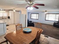 1981 SKYLINE CORPORATION BUDDY Manufactured Home