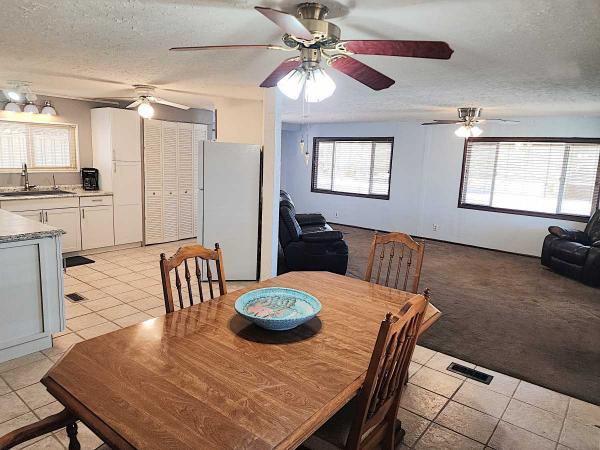 1981 SKYLINE CORPORATION BUDDY Manufactured Home