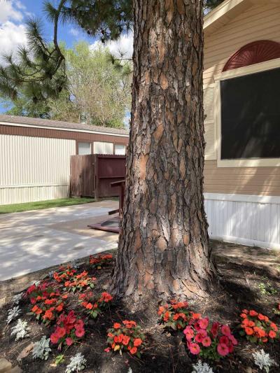 Photo 5 of 20 of home located at 3226 Conrad Ln Katy, TX 77449