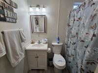 1995 Skyline Mobile Home