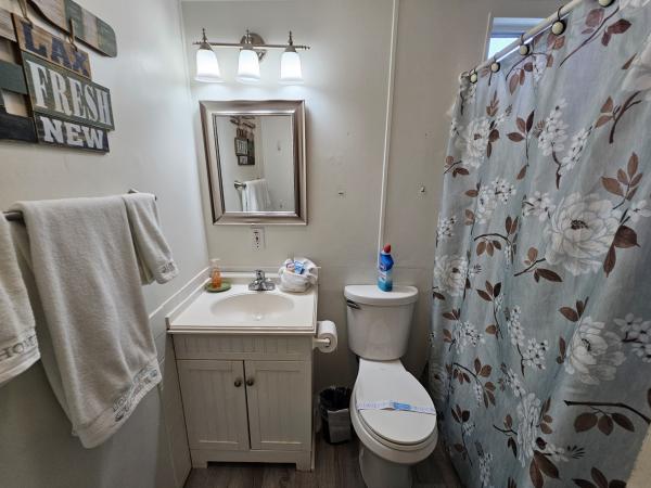 1995 Skyline Mobile Home