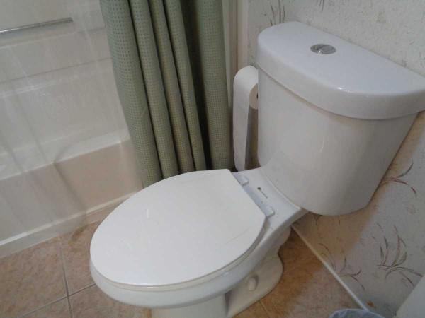 2004 PALM HAROR Manufactured Home