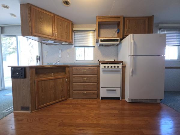 1995 WDNR  Home