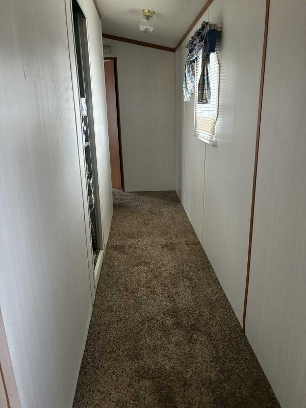 1996 Skyline Mobile Home