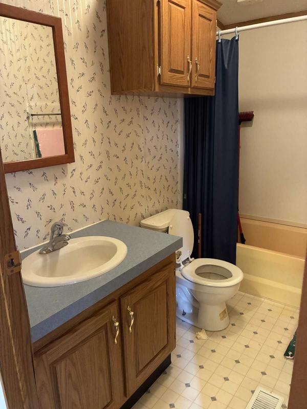 1996 Skyline Mobile Home