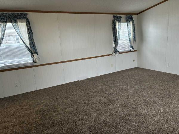 1996 Skyline Mobile Home