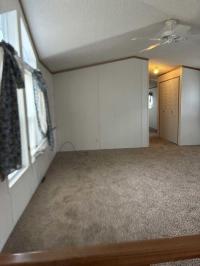 1996 Skyline Mobile Home