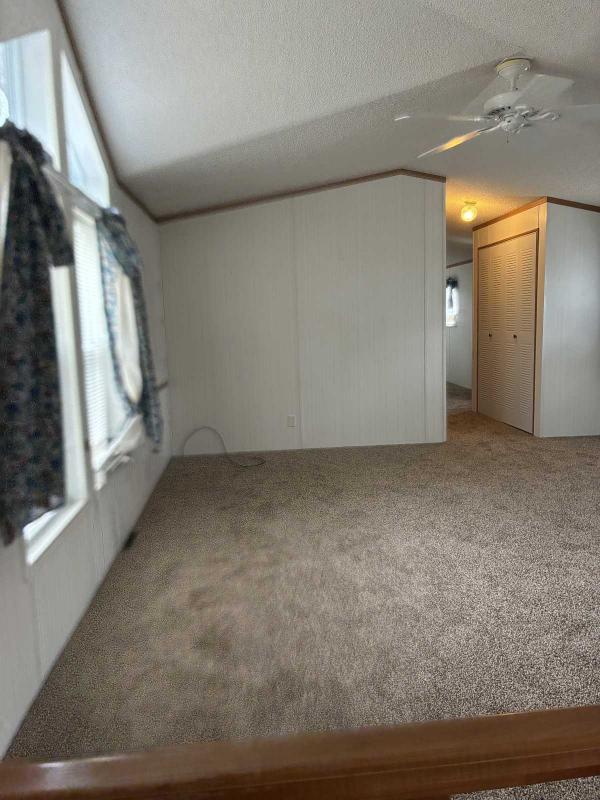 1996 Skyline Mobile Home