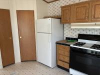 1996 Skyline Mobile Home