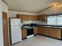 1996 Skyline Mobile Home