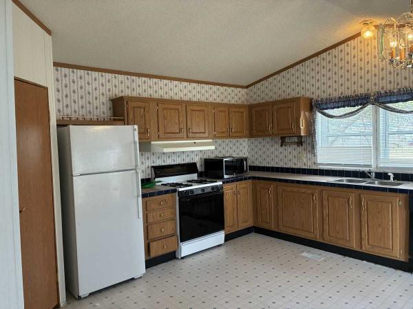 1996 Skyline Mobile Home