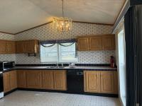 1996 Skyline Mobile Home