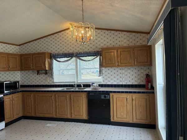 1996 Skyline Mobile Home