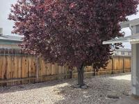 2002 FLEETWOOD ANNIVERSARY Manufactured Home