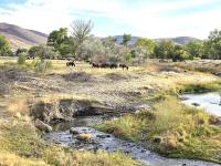 1986 CHAMPION PARKRIDGE Manufactured Home