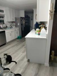 Skyline Custom Mobile Home