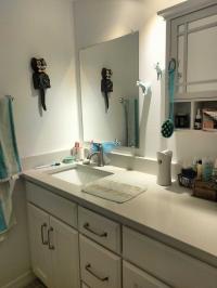 Skyline Custom Mobile Home